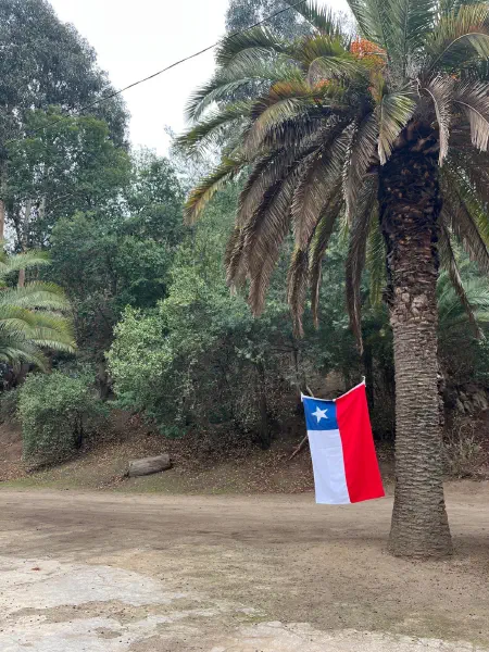 image from Woche 13 - Zurück in Valparaíso
